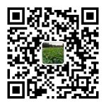 GrowupXL_com
